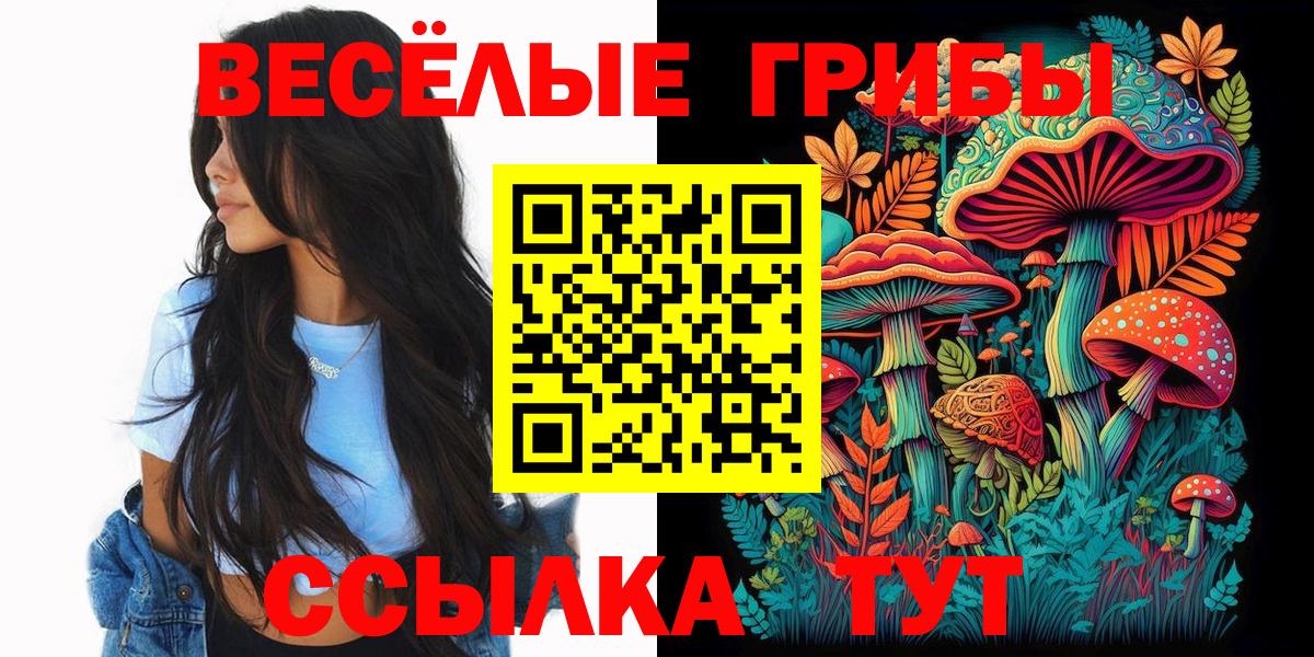 купить  цена  Вход с VPN  Лениногорск  Псилоцибиновые грибы GOLDEN TEACHER 